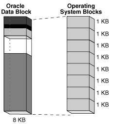 DB_OS_block