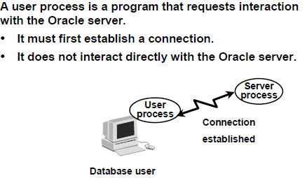 User_process